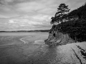 Preview wallpaper coast, bw, wood, pebbles