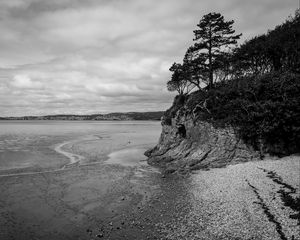 Preview wallpaper coast, bw, wood, pebbles