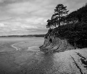 Preview wallpaper coast, bw, wood, pebbles