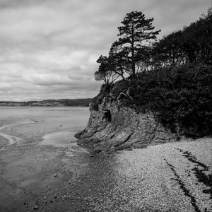 Preview wallpaper coast, bw, wood, pebbles