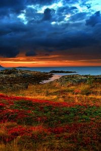 Preview wallpaper coast, decline, evening, mountains, vegetation, multi-colored, variety, colors, contrast, brightly