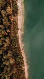 Preview wallpaper coast, forest, sea, aerial view, trees