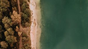 Preview wallpaper coast, forest, sea, aerial view, trees