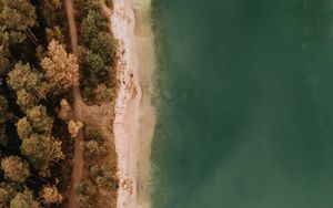 Preview wallpaper coast, forest, sea, aerial view, trees