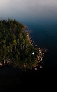 Preview wallpaper coast, forest, trees, water, aerial view