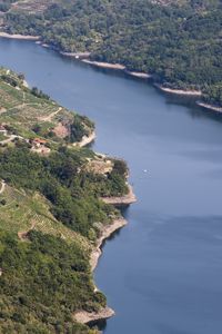 Preview wallpaper coast, forest, trees, slope, river, nature