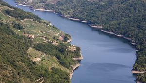 Preview wallpaper coast, forest, trees, slope, river, nature