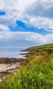 Preview wallpaper coast, grass, sea, landscape, nature, clouds