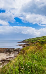 Preview wallpaper coast, grass, sea, landscape, nature, clouds