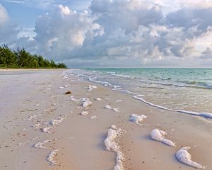 Preview wallpaper coast, green, surf, sea, sand, nature, foam