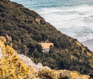 Preview wallpaper coast, house, aerial view, sea, hill, forest