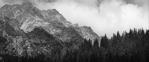 Preview wallpaper coast, house, mountains, trees, landscape, black-and-white