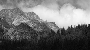 Preview wallpaper coast, house, mountains, trees, landscape, black-and-white