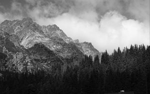 Preview wallpaper coast, house, mountains, trees, landscape, black-and-white