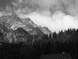 Preview wallpaper coast, house, mountains, trees, landscape, black-and-white