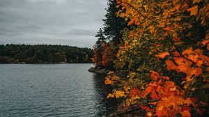 Preview wallpaper coast, lake, autumn, trees