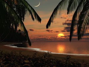 Preview wallpaper coast, morning, sun, dawn, moon, sky, beach, palm trees