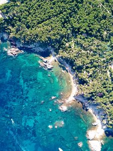 Preview wallpaper coast, ocean, aerial view, trees