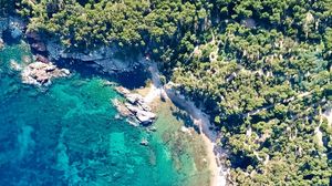 Preview wallpaper coast, ocean, aerial view, trees