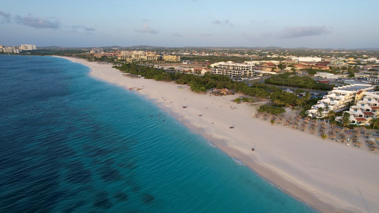 Wallpaper coast, ocean, aerial view, beach, sand, palms