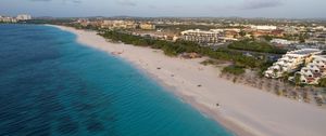 Preview wallpaper coast, ocean, aerial view, beach, sand, palms