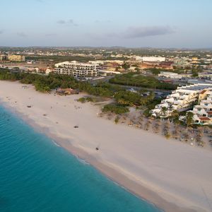 Preview wallpaper coast, ocean, aerial view, beach, sand, palms