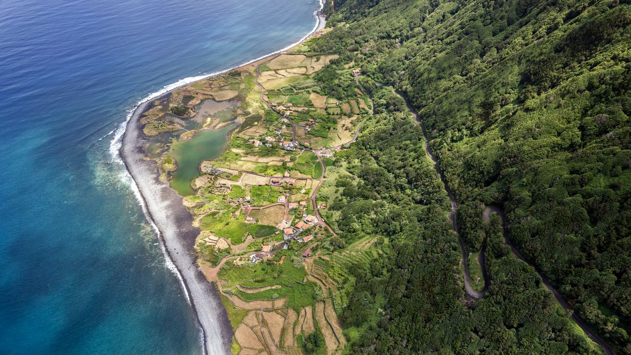 Wallpaper coast, ocean, houses, aerial view, forest, road