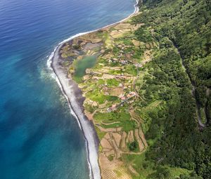 Preview wallpaper coast, ocean, houses, aerial view, forest, road