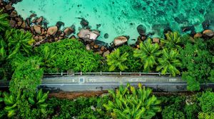 Preview wallpaper coast, palm trees, aerial view, road, stones