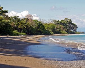 Preview wallpaper coast, palm trees, island, ocean, stones, beach, sand, wet, pebble, wave