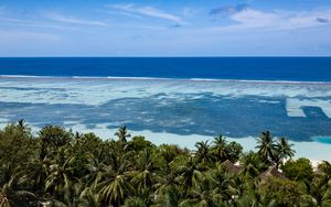 Preview wallpaper coast, palm trees, ocean, beach, tropics