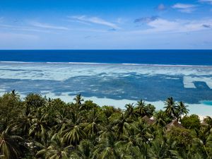 Preview wallpaper coast, palm trees, ocean, beach, tropics