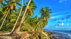 Preview wallpaper coast, palm trees, sea, sky