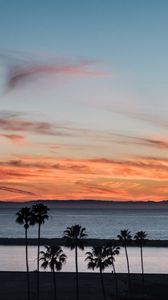 Preview wallpaper coast, palm trees, sea, sunset, nature
