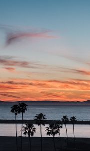 Preview wallpaper coast, palm trees, sea, sunset, nature