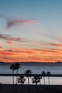 Preview wallpaper coast, palm trees, sea, sunset, nature