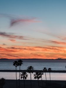 Preview wallpaper coast, palm trees, sea, sunset, nature