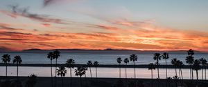 Preview wallpaper coast, palm trees, sea, sunset, nature