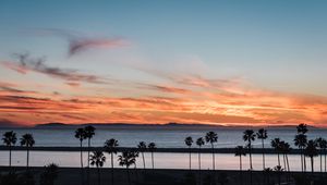 Preview wallpaper coast, palm trees, sea, sunset, nature