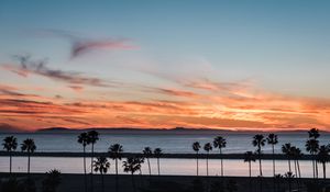 Preview wallpaper coast, palm trees, sea, sunset, nature