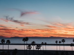 Preview wallpaper coast, palm trees, sea, sunset, nature