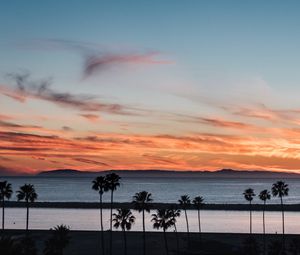 Preview wallpaper coast, palm trees, sea, sunset, nature