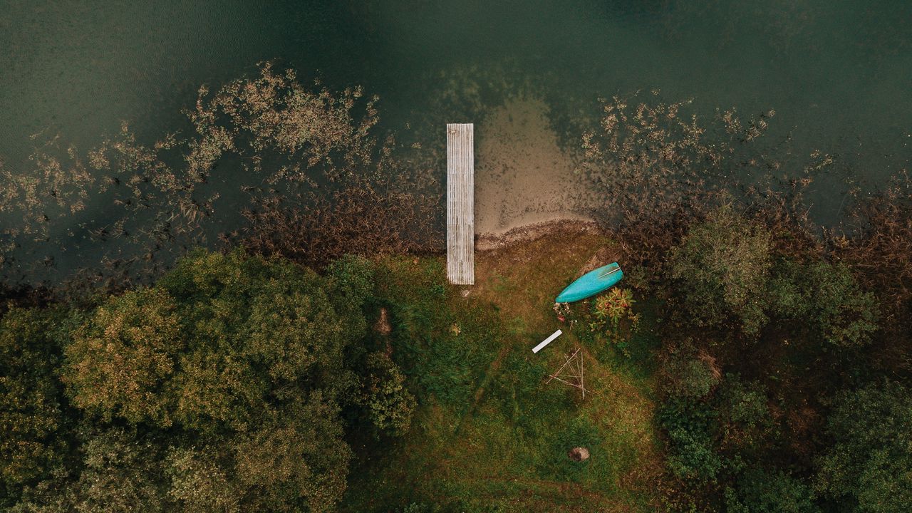 Wallpaper coast, pier, aerial view, trees