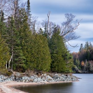 Preview wallpaper coast, river, water, trees, nature, landscape