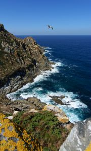 Preview wallpaper coast, rocks, bird, sea, landscape