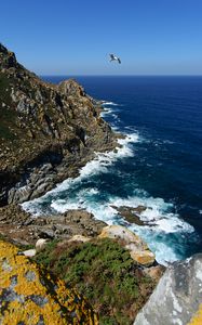 Preview wallpaper coast, rocks, bird, sea, landscape