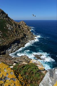 Preview wallpaper coast, rocks, bird, sea, landscape