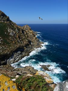 Preview wallpaper coast, rocks, bird, sea, landscape
