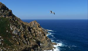 Preview wallpaper coast, rocks, bird, sea, landscape