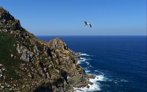 Preview wallpaper coast, rocks, bird, sea, landscape